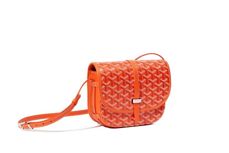 Goyard Belvédère PM – Timeless Elegance in a Compact Form - Mldripanddrop
