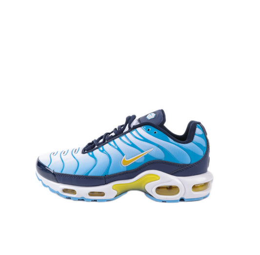 Air Max TN Plus - Mldripanddrop